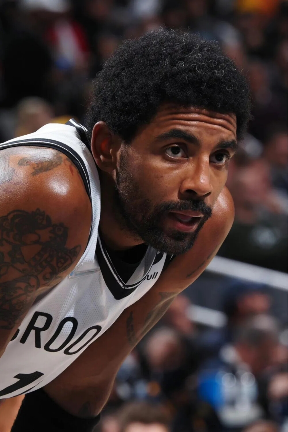 利拉德不仅 利拉德不仅