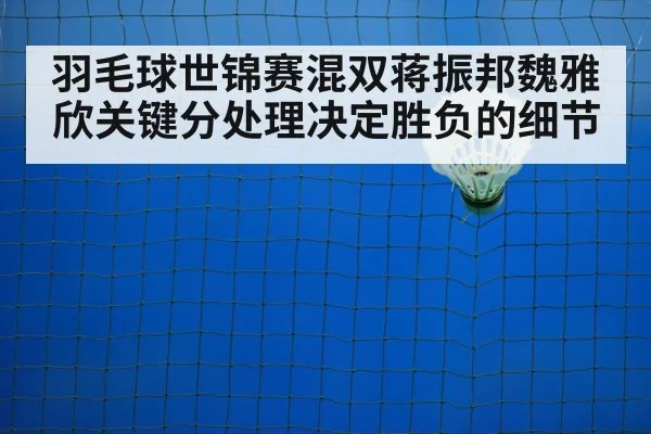 badminton net shot
